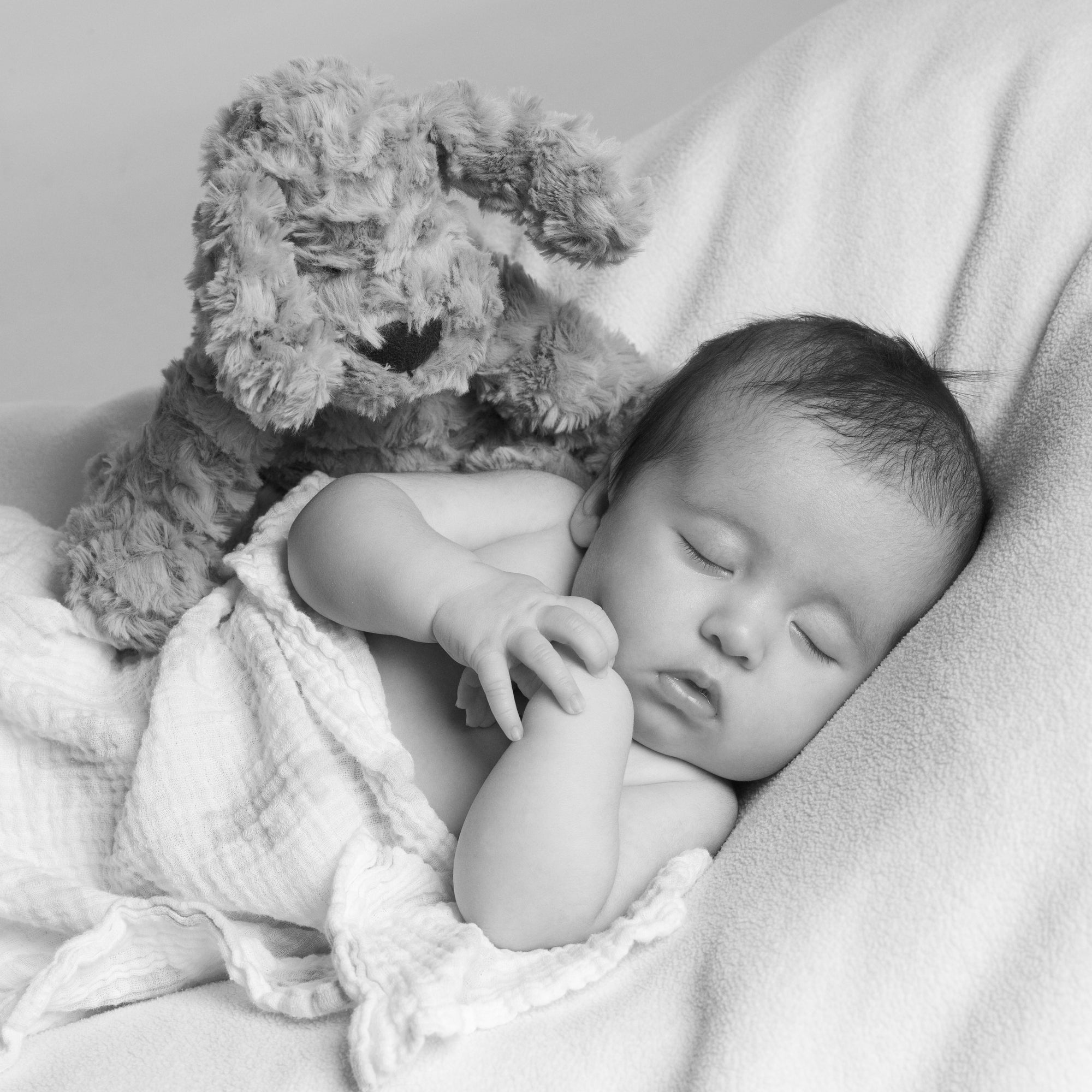 Black & white portrait of a sleeping baby with toy beside him