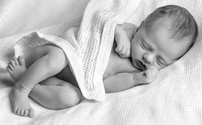 PHOTOGENIC | New Baby Portrait - PHOTOGENIC Photographers